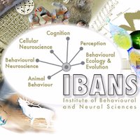 IBANS (@ibans_standrews) 's Twitter Profile