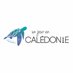 Un Jour en Calédonie (@unjourencaledo) Twitter profile photo Un Jour en Calédonie (@unjourencaledo) Twitter profile photo