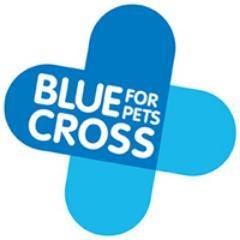 We are @The_Blue_Cross media team. Email press@bluecross.org.uk to get in touch.