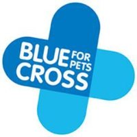 Blue Cross Media(@BlueCross_Media) 's Twitter Profile Photo