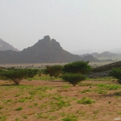 nasser11550's profile picture. 