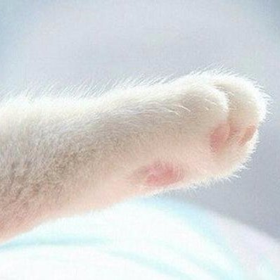 Mj1n2's profile picture. 