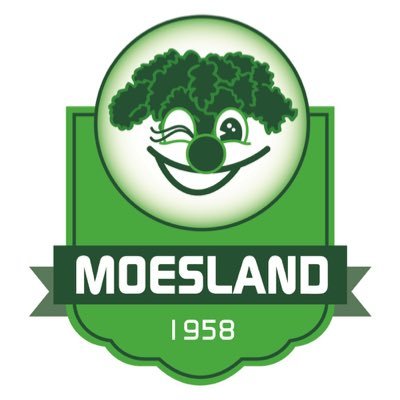 Stichting Carnaval De Moeslanden organiseert met alle 88 clubs al 55 jaar carnaval in Schaijk.