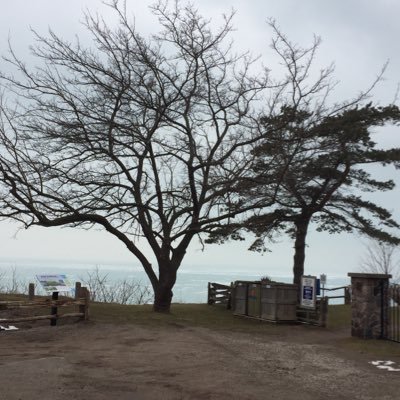 solutionist73's profile picture. Realist, solutionist, tell it like it is without the suger and ofcourse amateur foodie:)