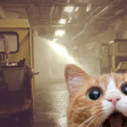 asch_513's profile picture. 