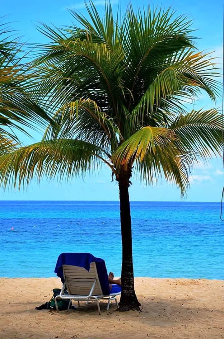 BarbadosSue's profile picture. 