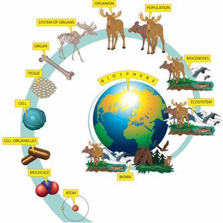 BioMedicalData's profile picture. Welcome: https://t.co/8vmHKqZjdt