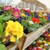 HortiCentre (@horticentreuk) Twitter profile photo HortiCentre (@horticentreuk) Twitter profile photo