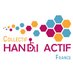 handiactiffrance (@handiactiffr) Twitter profile photo handiactiffrance (@handiactiffr) Twitter profile photo
