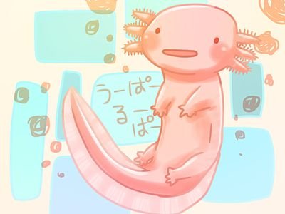 nagamizo0521's profile picture. マリスト☞東海大
静岡在住