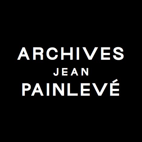 Archives Jean Painlevé is a Paris based non-profit organization dedicated to the preservation and public knowledge of Jean Painlevé’s archives and films.