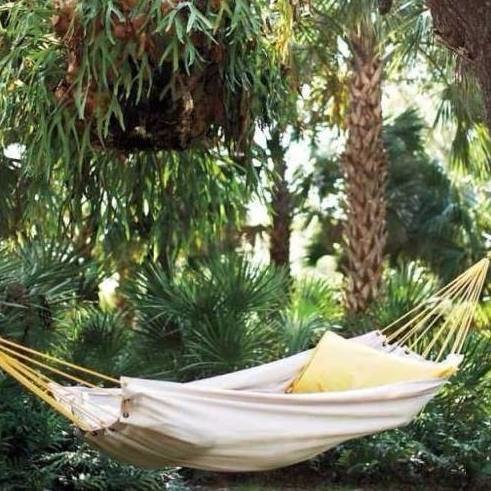 LivingWellRE's profile picture. Real Estate Blogger