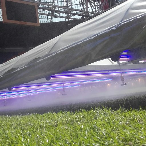 Grass growing system using a patented LED light & CO2 atmosphere Proven 10mm /24 hours leaf growth & a 28% increase of dry root weight over existing light rigs