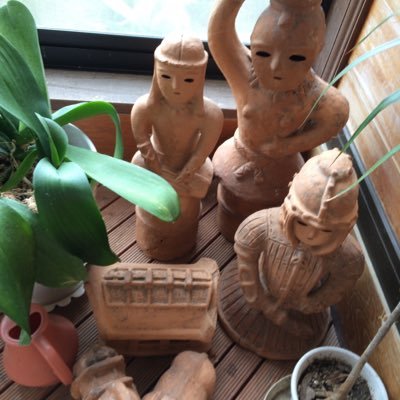 ビットコインbotを自作中。プログラムは素人です。