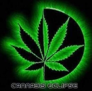 Sebasti52818538's profile picture. 