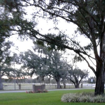 0208mpcoryell's profile picture. Educational Professional