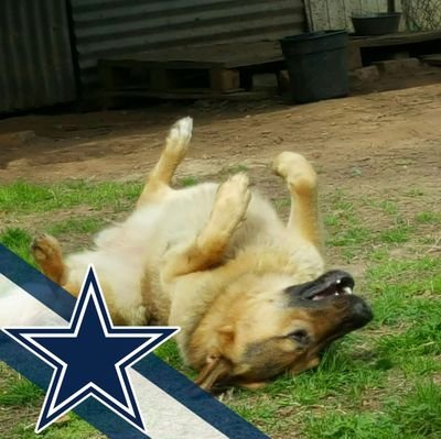 decemberest516's profile picture. NFL News Sports Country Music Classic Rock Fun