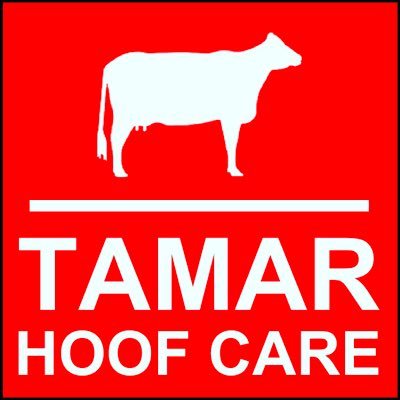 Tamar Hoofcare & Consultancy, Solving Lameness & Improving Mobility One Step At A Time #RateMyRecheck #LoveCows #Results #CowsComeFirst #TeamTamar #TeamDairy