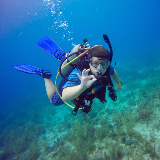 BrennanSeay's profile picture. VT