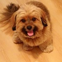 Cathryn Dufort (@wings2605) 's Twitter Profile