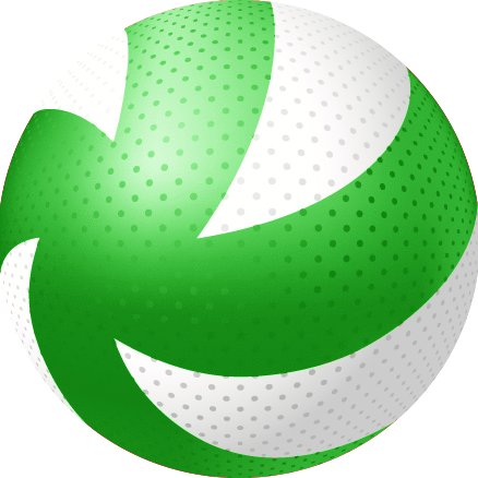 NWVolleyballENG's profile picture. 