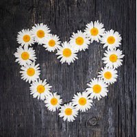 Clare Eaglesfield 💙 (@19clare68) 's Twitter Profile