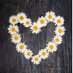 Clare Eaglesfield π (@19clare68) Twitter profile photo Clare Eaglesfield π (@19clare68) Twitter profile photo