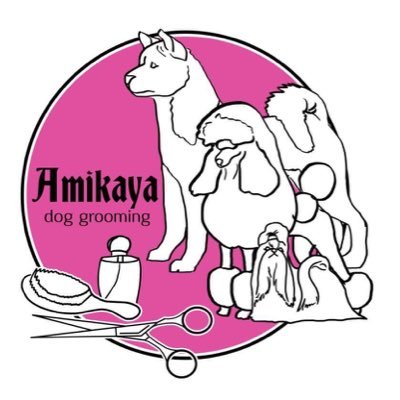 Amikaya dog grooming where every dog is treated like a show dog. City and guilds level 3 trained . contact us today to book an appointment.