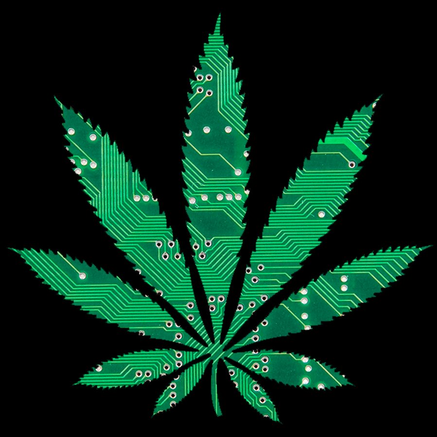 Canna Biometrics Live Scan Fingerprinting, Identity Services & Payment Solutions for the Cannabis Industry https://t.co/WGVCXBWY0f