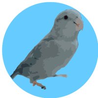 birdie records (@birdierecs) 's Twitter Profile