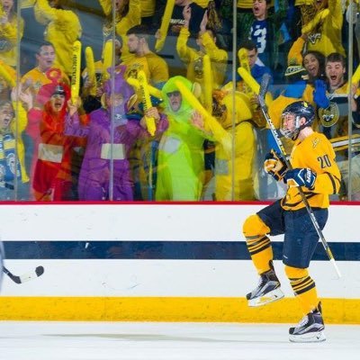 Unofficial mascots of of the best hockey team in Connecticut and all things Quinnipiac 🐯🐯🐯