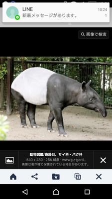 夜はおむつがないと安心して寝れない40代の♂です。 Twitterでおむつを楽しんでる人をフォローしてるうちに自分も楽しもうと思ってます。家族公認なのでおむつは自由です。 無言フォロー失礼します。ただ、仲良くなりたいだけです。 おむつ オムツ おねしょ おもらし