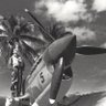 southpacificww2's profile picture. The project to build a South Pacific WW2 Museum in Espiritu Santo, Vanuatu. WEB: https://t.co/AuGXjv1vcS   Email: info@southpacificwwiimuseum.com