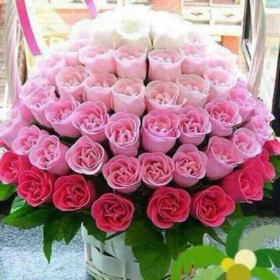من فهد @fahd_alraga الى قروبات واعضاء #قروب_الشام #قروب_هيبة_للاضافات #قروب_الفهد_للاضافات #قروب_الترنداويه #قروب_سكر_للدعم #قروب_هلوسات_للدعم #HH_Twitter_Gp