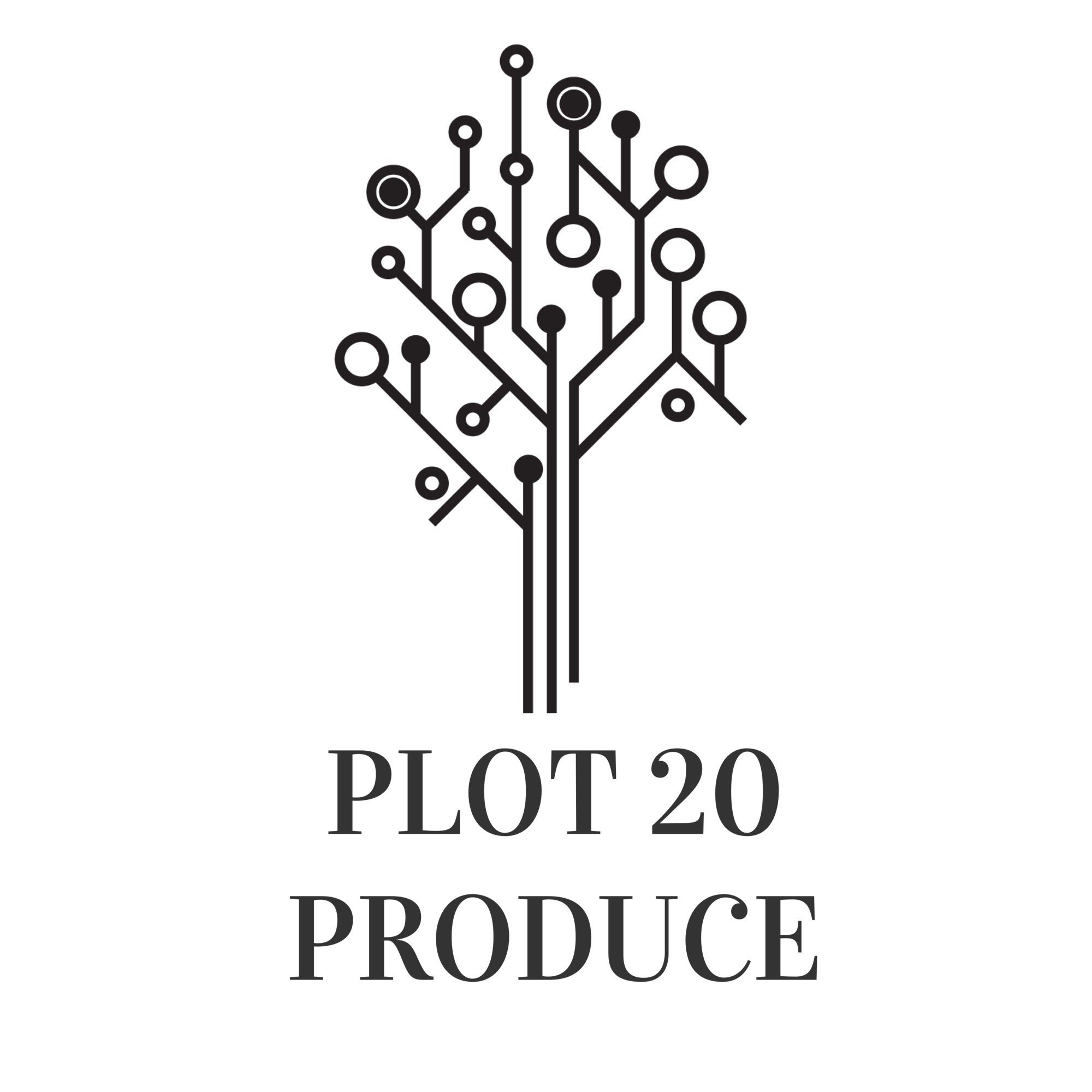 A look into the journey of my allotment plot in Middlesbrough. Aims; spend little & recycle lots, zero chemicals, enjoy fresh tasty food. instagram- plot20pics
