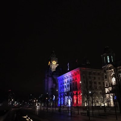 MAlgoulity's profile picture. استاذ مساعد | KSU | رياضيات اكتوارية ومالية