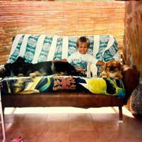 Sergio Pradas (@pradaspradas) 's Twitter Profile