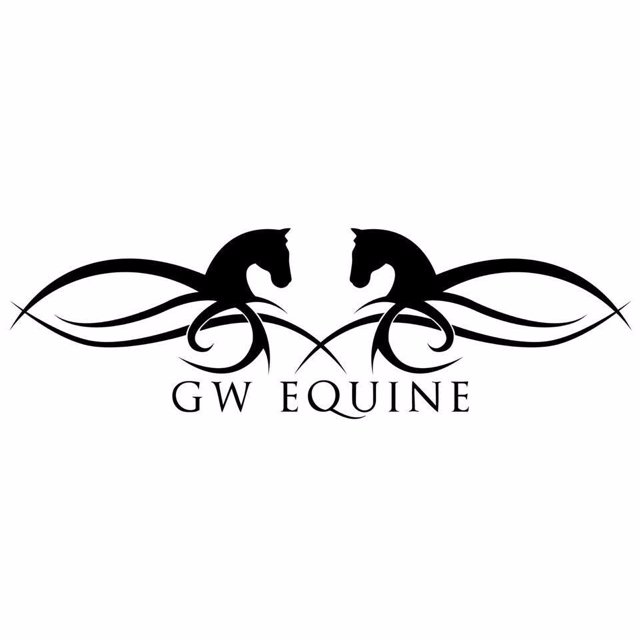 Gayle White is an international show jumper who is devoted to making horse and rider combinations compete to the best of their ability.