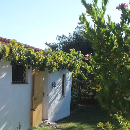 Charming, traditional, 3 bedroom family villa near Olbia, Sardinia, large garden and literally on the beach. Available for holiday lets all year round.