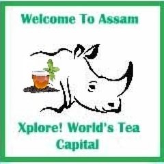 Travel, Tips, News, Destination Ideas,Trip Inspiration & More #AssamTourism tags Welcome. RTs≠Endorsements