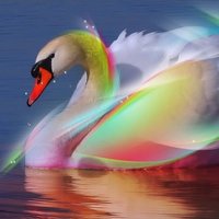 Swans (@swansmps) 's Twitter Profile Photo Swans (@swansmps) 's Twitter Profile Photo