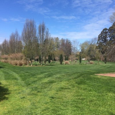 cortez1568's profile picture. marino