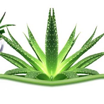 Let's come together and help defeat rosacea!