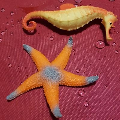 polikodestor's profile picture. No puedes permitir que alguien te saque de tu estado de equilibrio