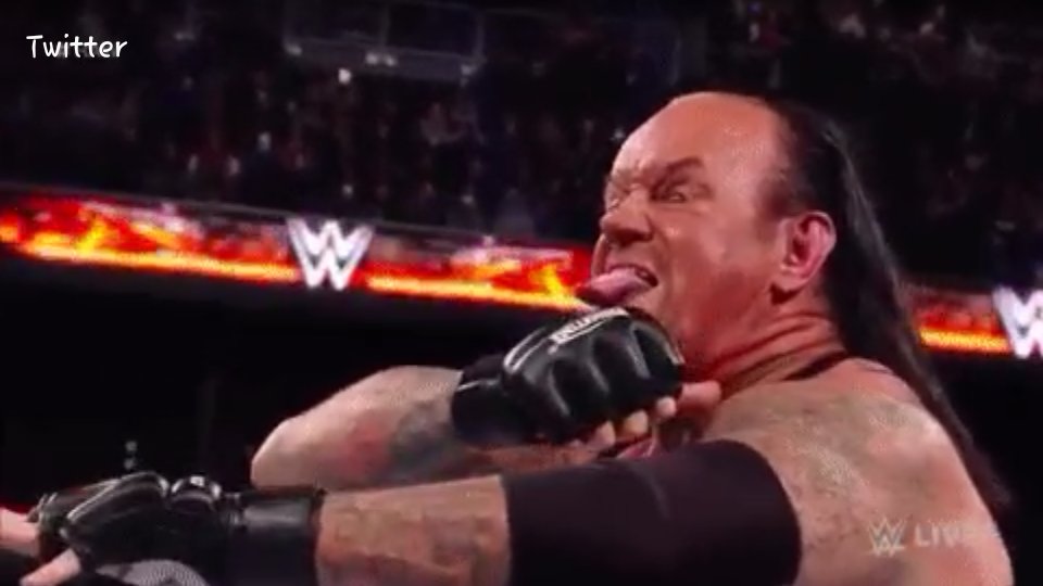 The Undertaker Profile