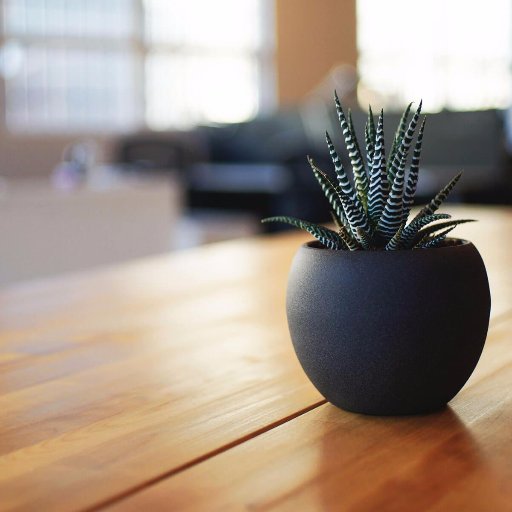 Assistantlab20's profile picture. 