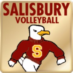 Salisbury University volleyball is one of 21 Sea Gull varsity sports. Fans and followers are expected to be supportive in comments about the program.