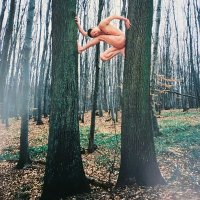Jack Lost (@jack_the_lost) 's Twitter Profile