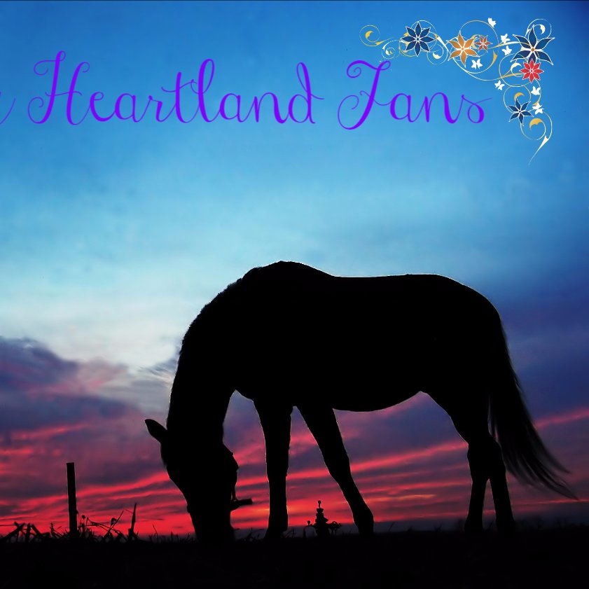 I'm the Creator of the group called Crazy Heartland Fans on Facebook since 2010.