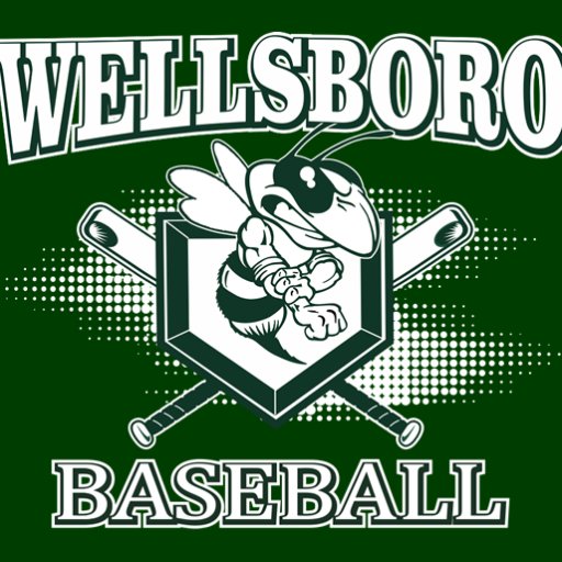 https://t.co/wUtf5YjVcz provides statistics, scores, player information, and team history about the Wellsboro Green Hornet Baseball Team